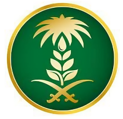 اتصالات